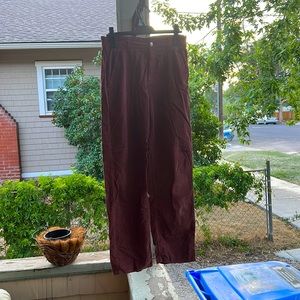 American eagle corduroy pants. Reddish brown. Size 10. Worn once.